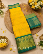 Two Tone Border Silk Cotton Saree.