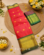 Two Tone Border Silk Cotton Saree.