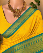 Two Tone Border Silk Cotton Saree.